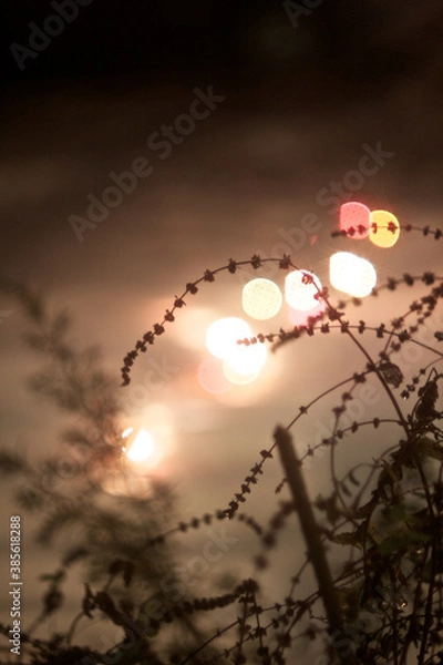 Obraz 雪と光と影