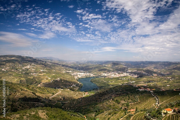 Obraz Landscape of terraced vineyards and olive trees in Douro Valley, northern Portugal, officially designated by UNESCO.