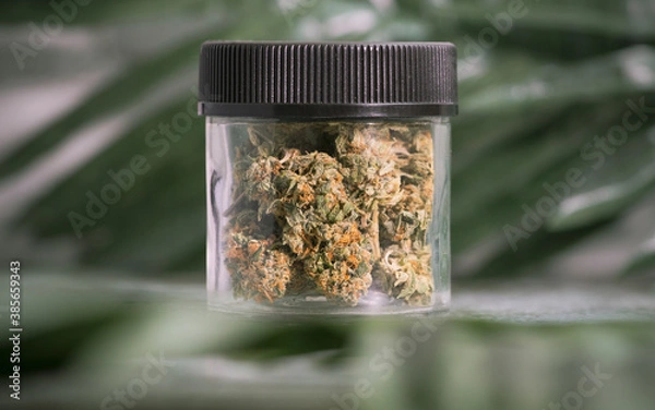 Obraz medicinal cannabis flower in closed jar with tropical leaf background