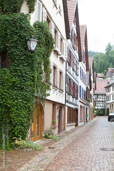 Obraz Schiltach 4062