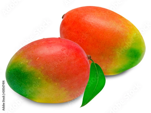 Fototapeta Mango isolated on white background