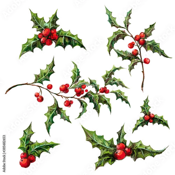 Fototapeta Zestaw świątecznych elementów dekoracyjnych - gałązki holly berry z liśćmi i jagodami. Botaniczna akwarela ilustracja roślin zimowych na białym tle. Vintage Xmas wystrój domu.
