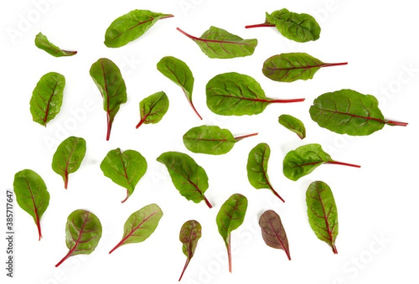 Fototapeta beet baby leafs isolated on white background