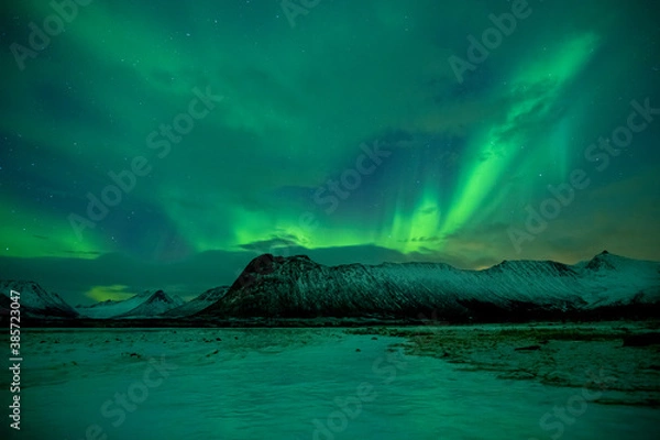 Fototapeta Beautiful night sky with Aurora Borealis aka northern lights in the fjords in Norway.