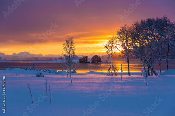 Fototapeta Moody sky winter sunset blue hour over the red houses in Norway