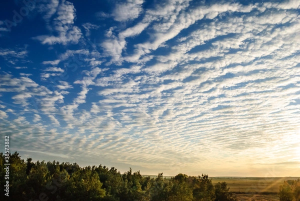 Fototapeta cirrus clouds over the forest..