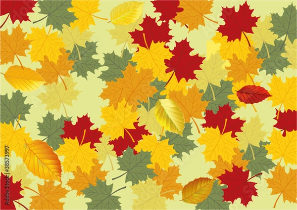 Fototapeta Herbstblätter