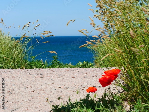 Obraz Mohn und Meer