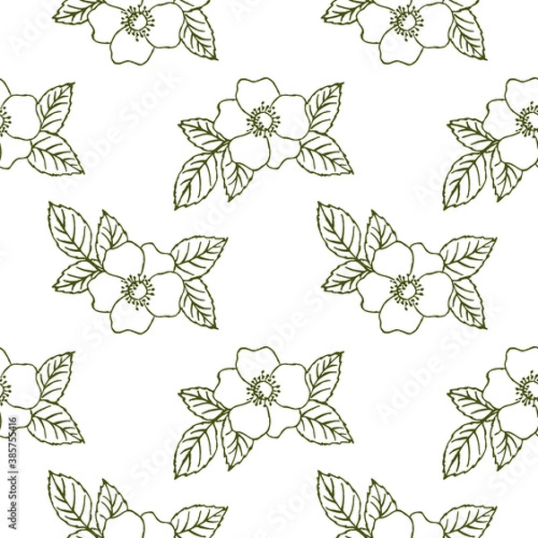 Obraz dog-rose flowers on white background seamless pattern
