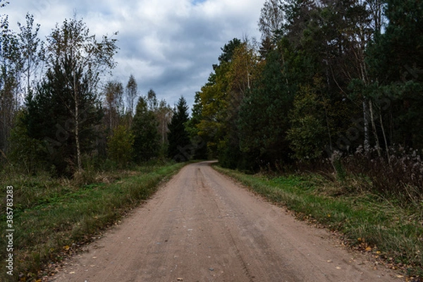 Obraz Dirt road next to forest. Pathway.