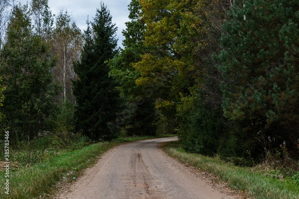 Obraz Dirt road next to forest. Pathway.