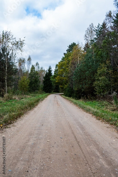 Obraz Dirt road next to forest. Pathway.