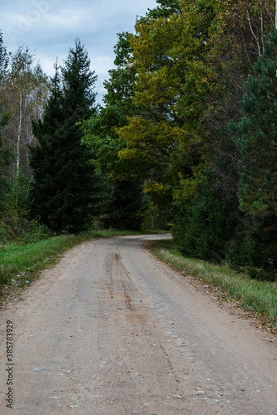Obraz Dirt road next to forest. Pathway.