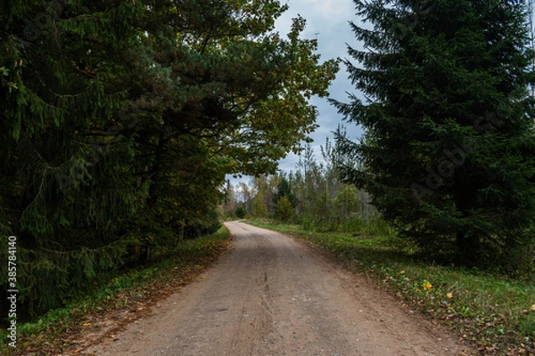 Obraz Dirt road next to forest. Pathway.