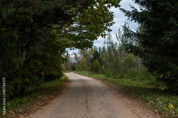 Obraz Dirt road next to forest. Pathway.