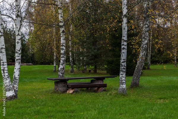 Obraz Camping spot next to forest.