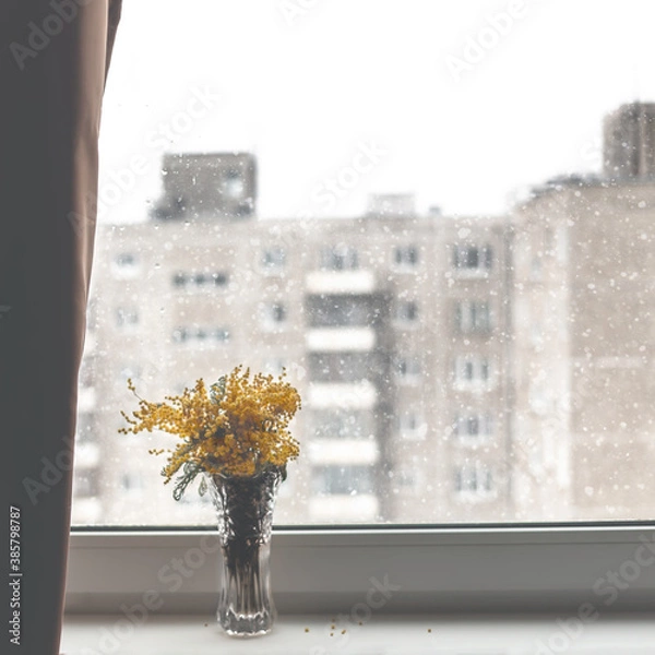 Fototapeta autumn in the city