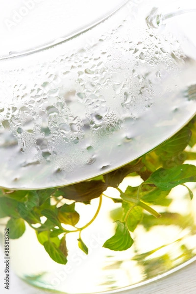 Fototapeta ペパーミントのハーブティー