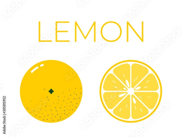 Fototapeta Vector of lemon and sliced half of lemon on white background