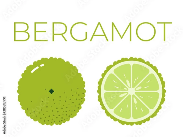 Fototapeta Vector of bergamot and sliced half of bergamot on white background