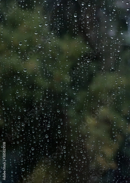 Obraz raindrops on window glass. summer background. selective focus.