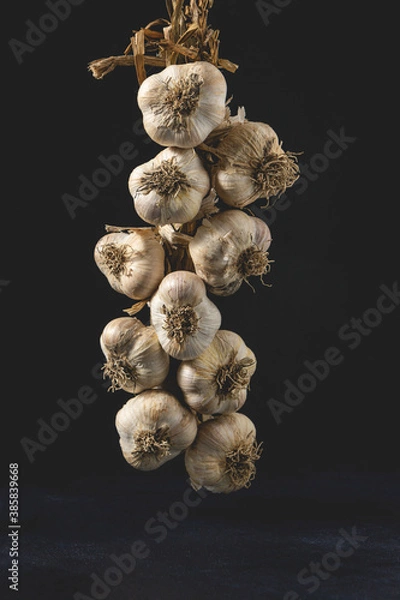 Obraz String of Garlic bulbs isolated on a dark background. Close-up view.