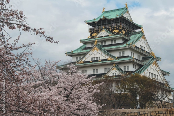 Obraz japanese Osaka castle in spring
