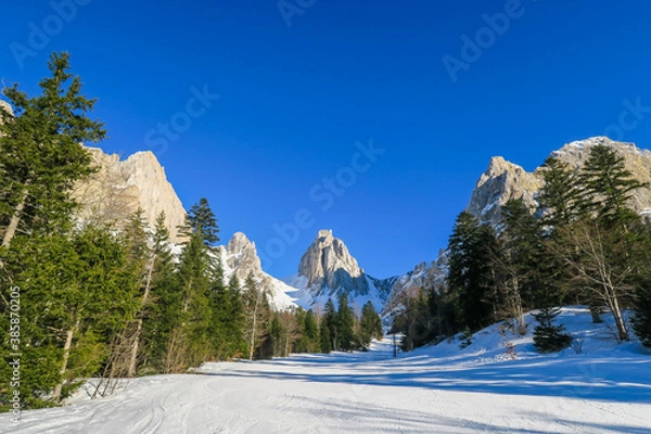 Obraz Mountains and pine trees in winter at "La Jarjatte" in France