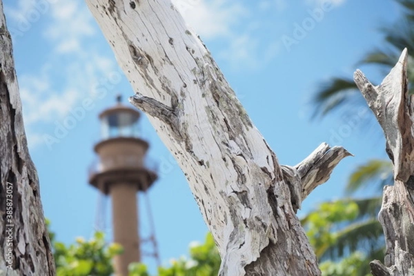 Fototapeta OLYMPUS DIGITAL CAMERA