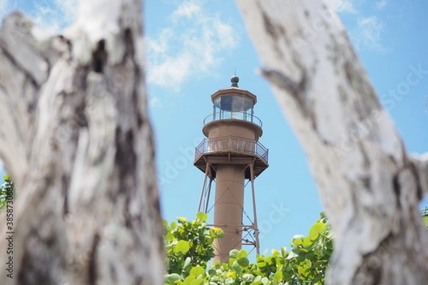 Fototapeta OLYMPUS DIGITAL CAMERA