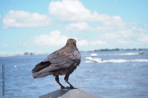 Fototapeta OLYMPUS DIGITAL CAMERA