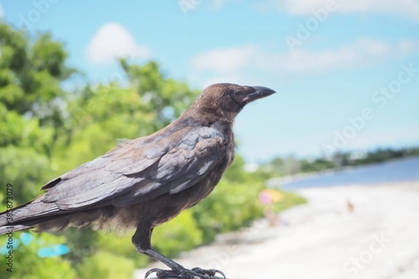 Fototapeta OLYMPUS DIGITAL CAMERA