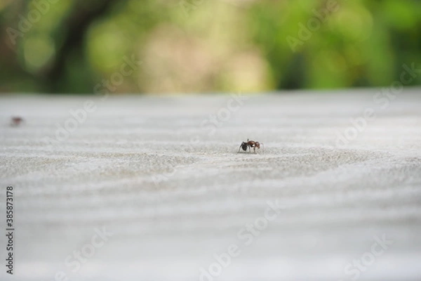 Obraz OLYMPUS DIGITAL CAMERA