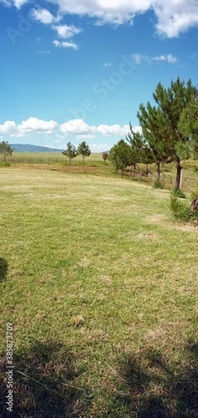 Obraz landscape in the mountains