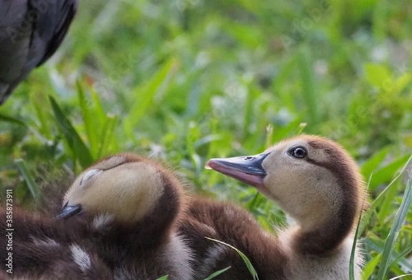 Obraz OLYMPUS DIGITAL CAMERA