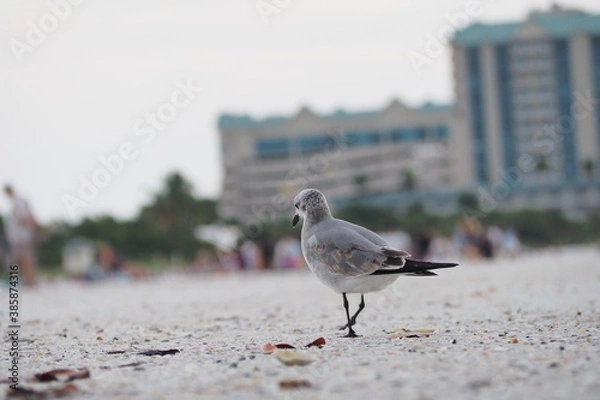 Obraz OLYMPUS DIGITAL CAMERA