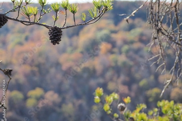Fototapeta OLYMPUS DIGITAL CAMERA