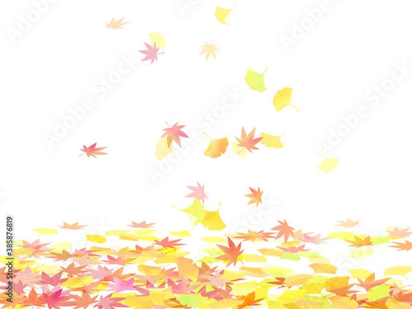 Fototapeta 舞い落ちるもみじとイチョウ