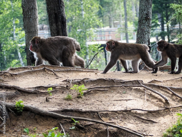 Obraz OLYMPUS DIGITAL CAMERA