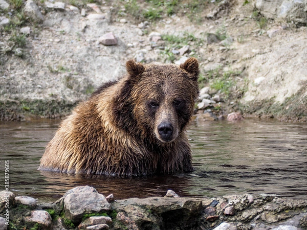 Obraz OLYMPUS DIGITAL CAMERA