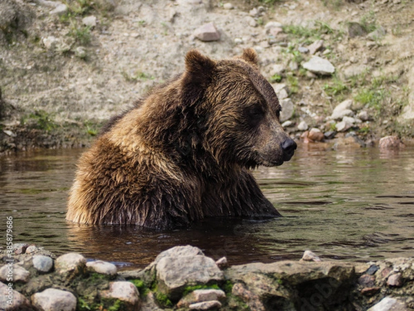 Obraz OLYMPUS DIGITAL CAMERA