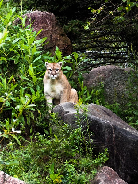 Obraz OLYMPUS DIGITAL CAMERA