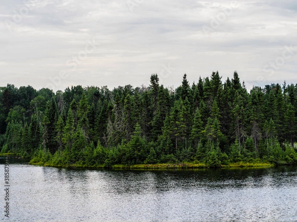 Obraz OLYMPUS DIGITAL CAMERA