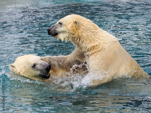 Obraz OLYMPUS DIGITAL CAMERA