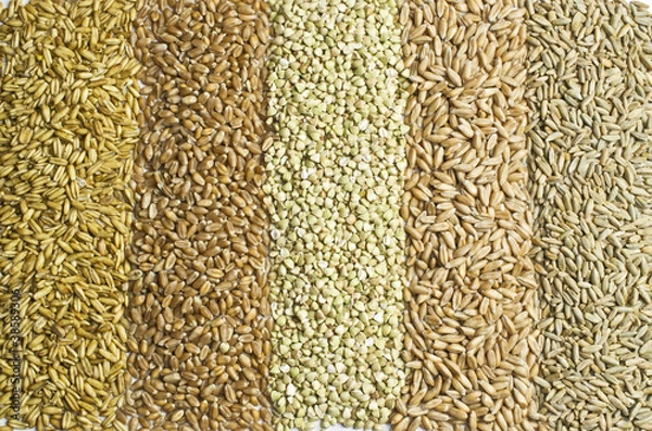 Obraz Verschiedene Getreidesorten