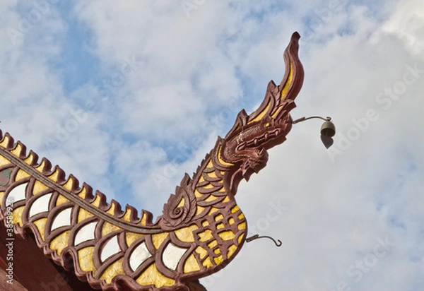 Obraz rooftop details