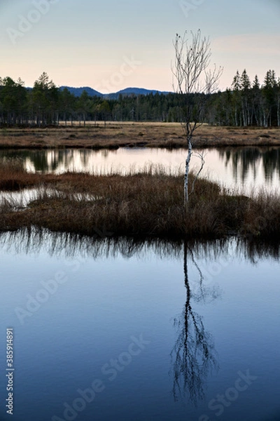 Obraz Triungsvanna, Oslomarka, Norway. Nature reserve. Shot in golden/blue hour in october.  A crisp and cold evening in Nordmarka. This lake and forest is only a few kilometers from down town city of oslo.