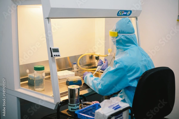 Fototapeta A scientist in PPE safty uniform pipetting sample experiment in biological safety cabinet (BSC).