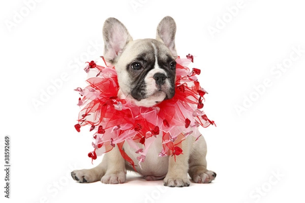 Obraz Be My Valentine