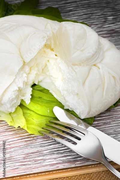 Obraz Mozzarella burrata